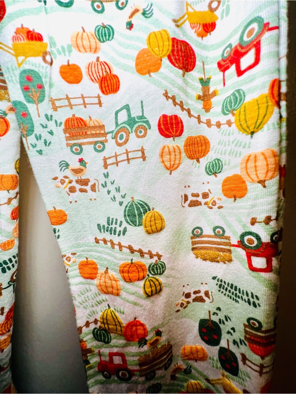 Kids 4T Pumpkin Harvest Pajama Set & Socks Green & Orange Rayon from Bamboo - Picture 11 of 13